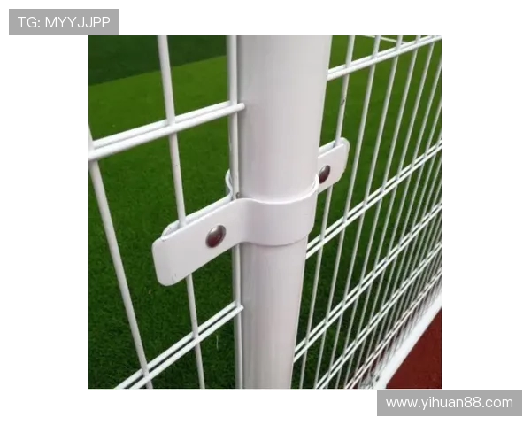 丽水庆元足球场护栏网安装与维护方案解析助力提升场地安全保障